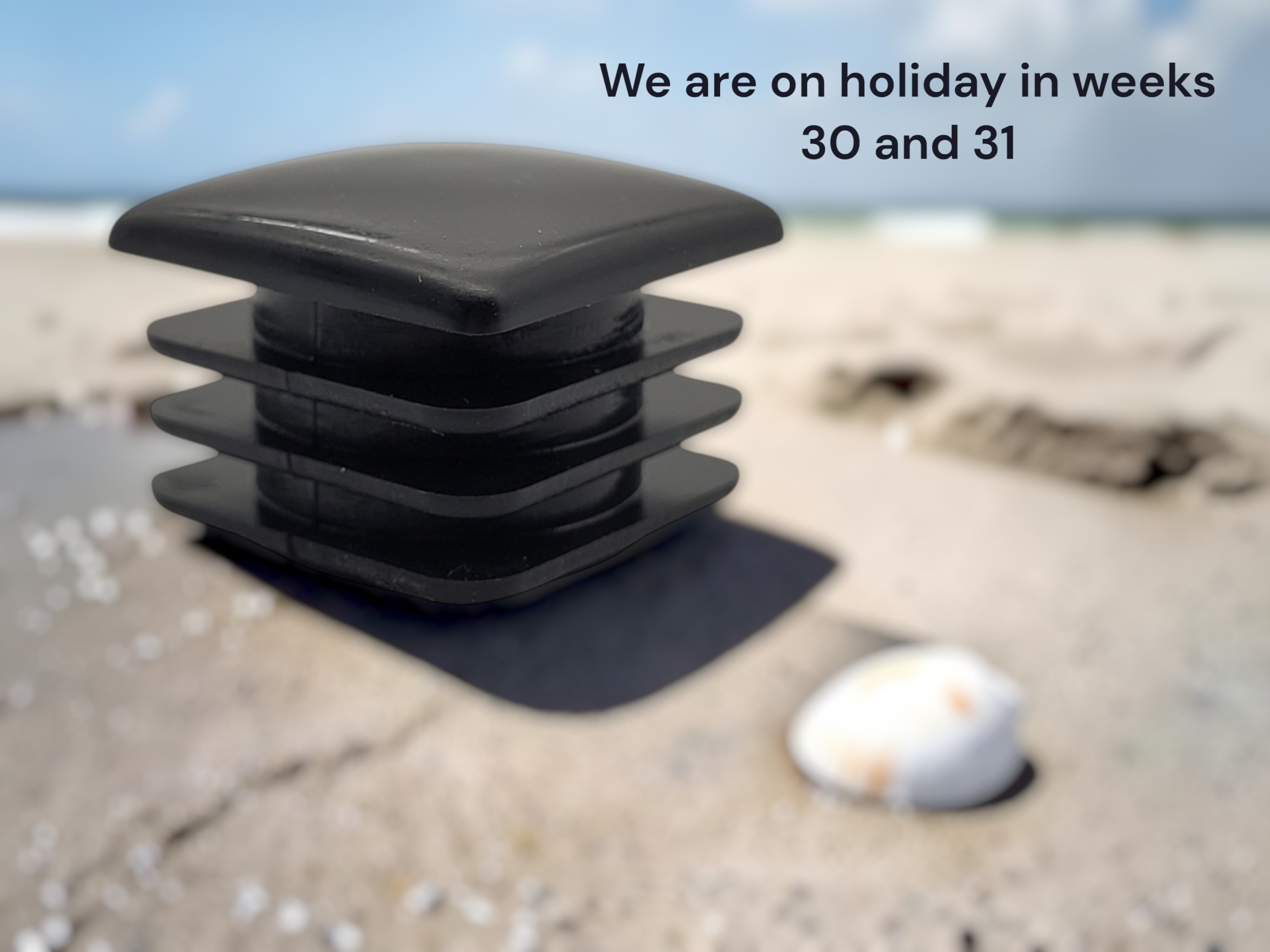moulded product