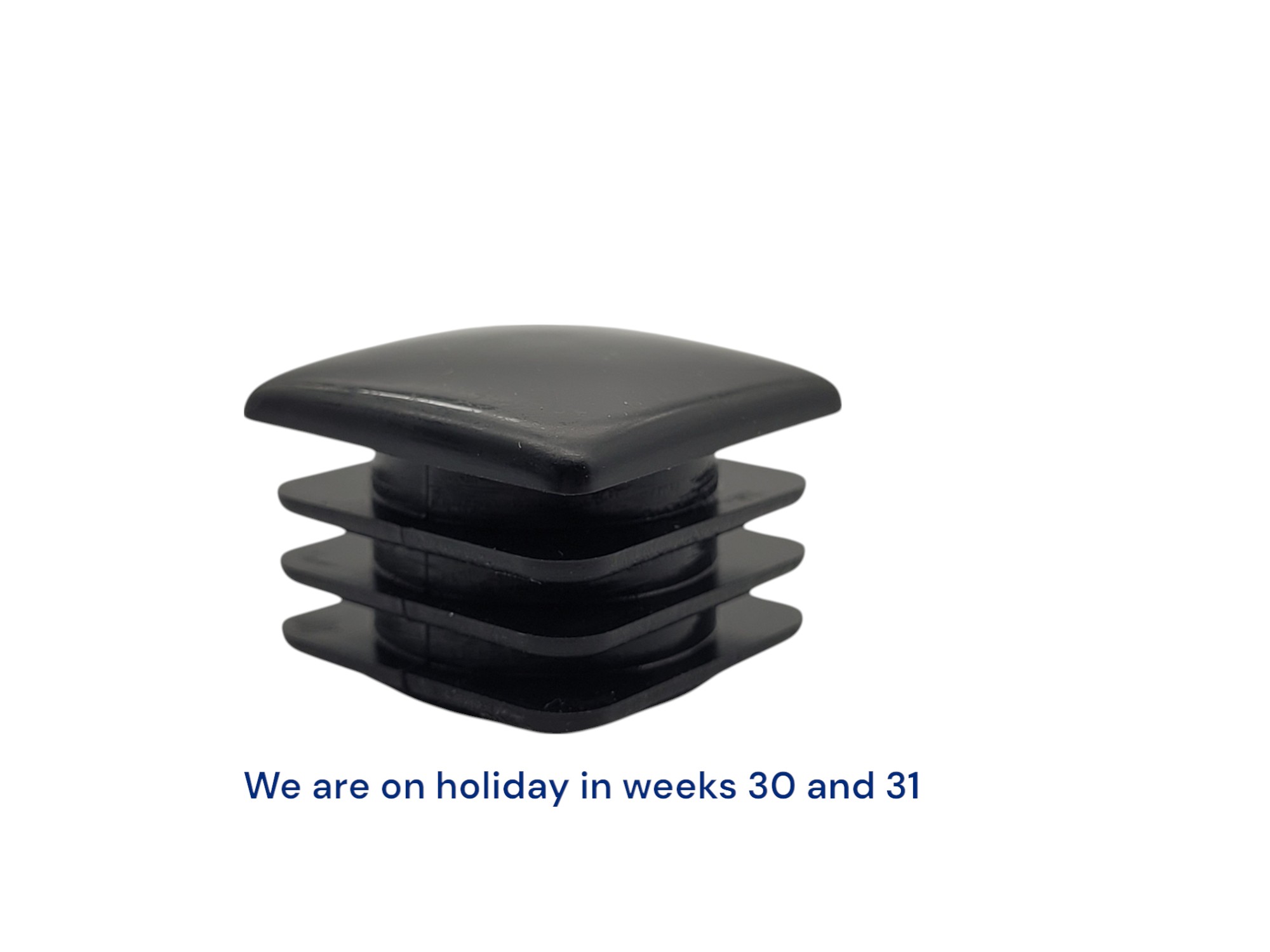 moulded product